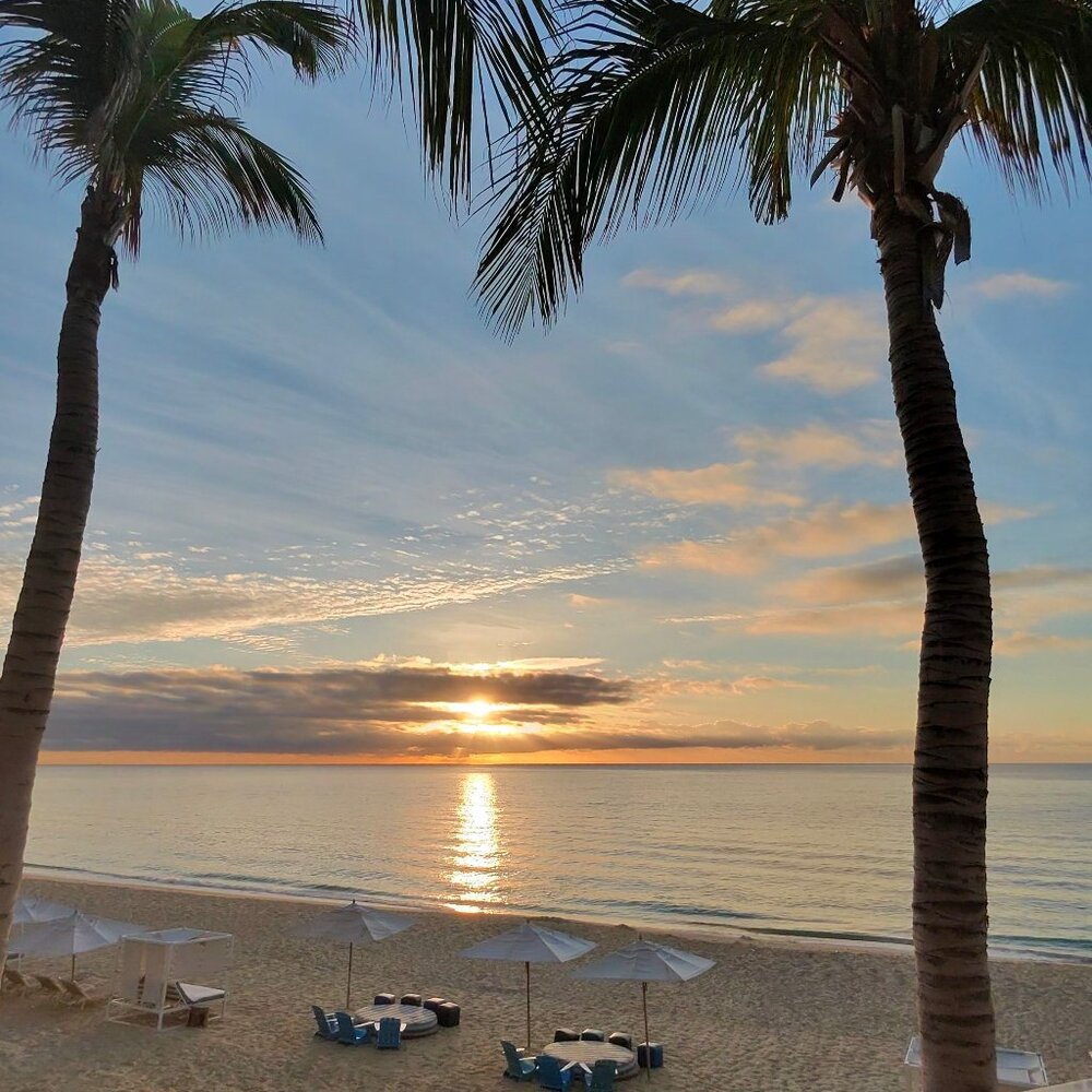 Meet your Posher, Indy